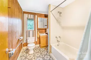 1 Mustang Dr, Leicester, NC 28748 - Photo 9