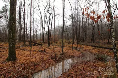 4.63+/-Ac Eaker Road #LOT 2, Bessemer City, NC 28016 - Photo 5