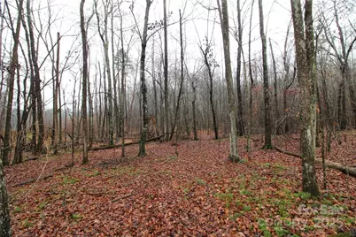 4.63+/-Ac Eaker Road #LOT 2, Bessemer City, NC 28016 - Photo 3