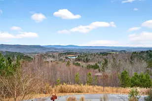 242 Lakeview Trl, Nebo, NC 28761 - Photo 19