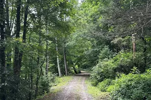 000 Wayah Zooshuga Rd, Maggie Valley, NC 28751 - Photo 5