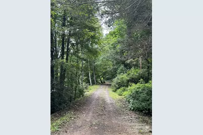 000 Wayah Zooshuga Road, Maggie Valley, NC 28751 - Photo 5