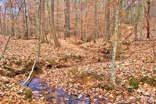 196 Moriah Dr, Rutherfordton, NC 28139 - Photo 19