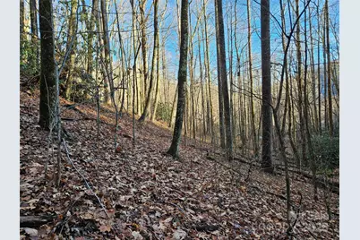 000 Serenity Drive #27, Waynesville, NC 28785 - Photo 13