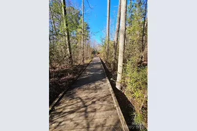 822 Tyne Drive, Fort Mill, SC 29715 - Photo 33