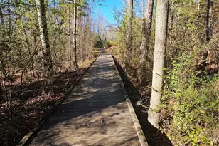 822 Tyne Dr, Fort Mill, SC 29715 - Photo 33