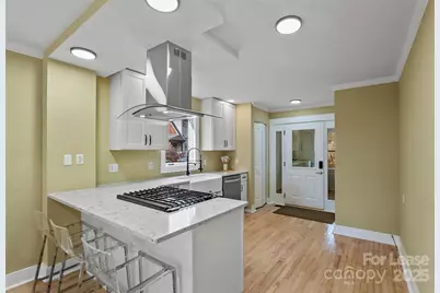 5 Elmore Street, Asheville, NC 28804 - Photo 9