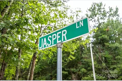 0 Jasper Lane, Summerton, SC 29148 - Photo 7