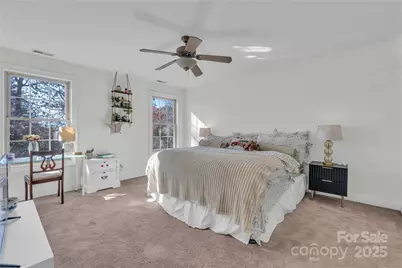 20 Moccasin Flower Trail, Landrum, SC 29356 - Photo 29