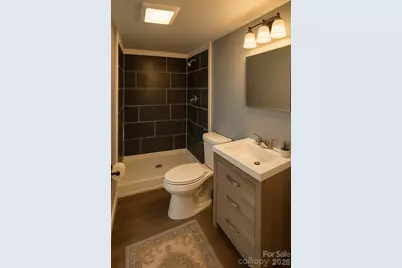 94 Leopard Drive, Waynesville, NC 28786 - Photo 41