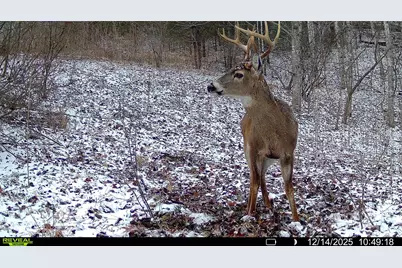 Tbd Lost Hollow Road, Burnsville, NC 28714 - Photo 17