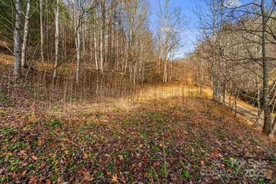 Tbd Lost Hollow Road, Burnsville, NC 28714 - Photo 7