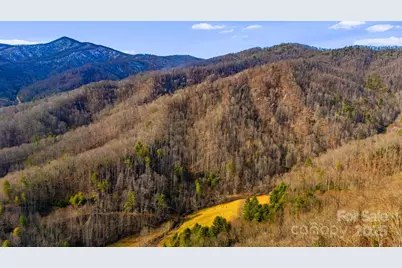 Tbd Lost Hollow Road, Burnsville, NC 28714 - Photo 15