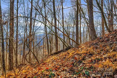 Tbd Lost Hollow Road, Burnsville, NC 28714 - Photo 13