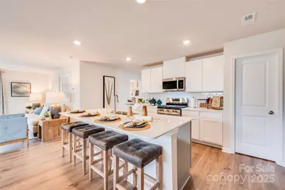 10010 Chatham Run Lane, Charlotte, NC 28262 - Photo 5