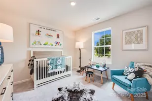 10010 Chatham Run Ln, Charlotte, NC 28262 - Photo 21