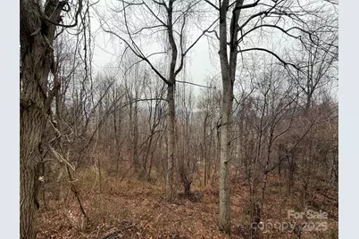 201 Mountain Vista Road, Canton, NC 28716 - Photo 21