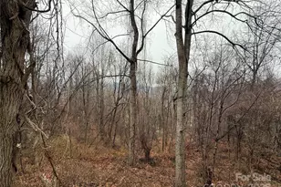 201 Mountain Vis Rd, Canton, NC 28716 - Photo 21