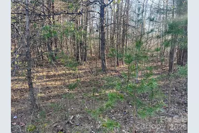 V/L Southern Way, Nebo, NC 28761 - Photo 11
