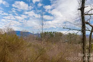 153 Hackleburg Ln, Hendersonville, NC 28792 - Photo 3