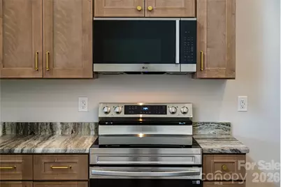 153 Hackleburg Lane, Hendersonville, NC 28792 - Photo 21