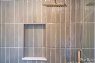 55 Cisco Rd, Asheville, NC 28805 - Photo 29