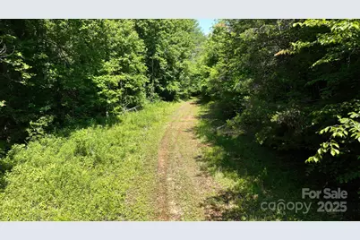 2967 & 2941 Roby Martin Road, Lenoir, NC 28645 - Photo 31