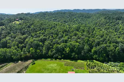 2967 & 2941 Roby Martin Road, Lenoir, NC 28645 - Photo 33