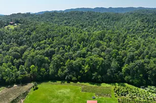 2967 & 2941 Roby Martin Rd, Lenoir, NC 28645 - Photo 33