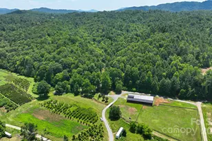 2967 & 2941 Roby Martin Rd, Lenoir, NC 28645 - Photo 23