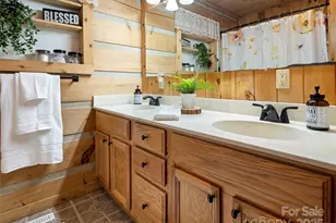 538 E Fork Rd, Sylva, NC 28779 - Photo 19