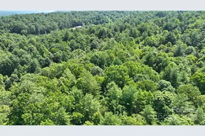 2941 Roby Martin Road, Lenoir, NC 28645 - Photo 47