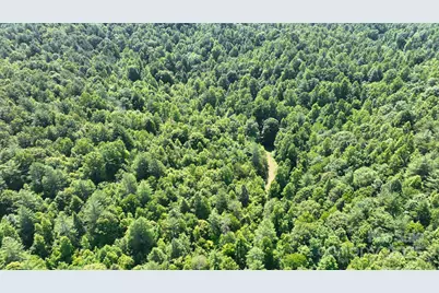 2941 Roby Martin Road, Lenoir, NC 28645 - Photo 41