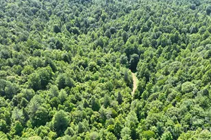 2941 Roby Martin Rd, Lenoir, NC 28645 - Photo 41