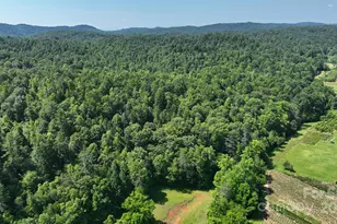 2941 Roby Martin Rd, Lenoir, NC 28645 - Photo 33