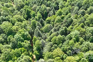 2941 Roby Martin Rd, Lenoir, NC 28645 - Photo 45