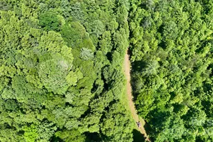 2941 Roby Martin Rd, Lenoir, NC 28645 - Photo 37