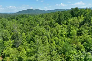 2941 Roby Martin Rd, Lenoir, NC 28645 - Photo 35