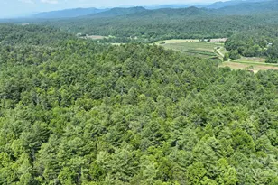 2941 Roby Martin Rd, Lenoir, NC 28645 - Photo 39