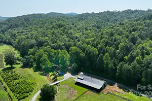 2941 Roby Martin Rd, Lenoir, NC 28645 - Photo 31