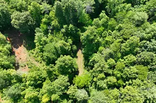 2967 Roby Martin Rd, Lenoir, NC 28645 - Photo 35