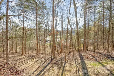 9467 Hester Court, Harrisburg, NC 28075 - Photo 43