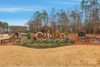 352 Picasso Trail, Mount Holly, NC 28120 - Photo 41