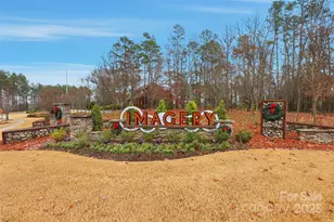 352 Picasso Trl, Mount Holly, NC 28120 - Photo 41