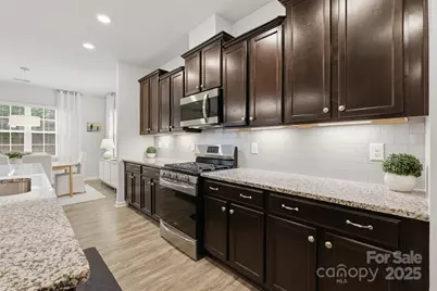 352 Picasso Trail, Mount Holly, NC 28120 - Photo 17