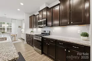 352 Picasso Trl, Mount Holly, NC 28120 - Photo 17