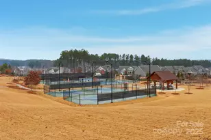 352 Picasso Trl, Mount Holly, NC 28120 - Photo 35