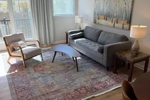 3 Lee Garden Ln, Asheville, NC 28801 - Photo 33
