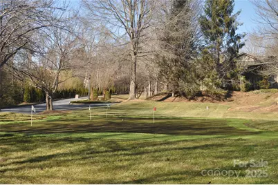 51 Barn Owl Way, Hendersonville, NC 28792 - Photo 17