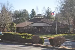 51 Barn Owl Way, Hendersonville, NC 28792 - Photo 13